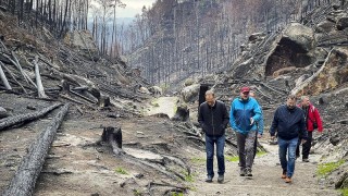 Národní park České Švýcarsko, listopad 2022. Cesta od Tří pramenů k Pravčické bráně. Pro turisty je otevřená od pátku do neděle. Foto: Oldřich Hájek