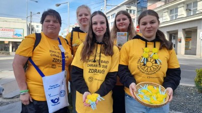 Dnes je Český den proti rakovině. V ulicích můžete potkat dobrovolníky s kytičkami