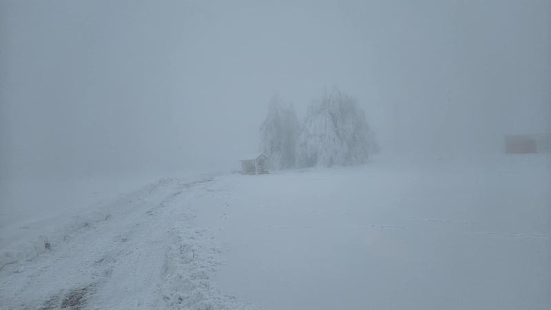 Takto to v těchto dnech vypad&aacute; na hor&aacute;ch, kontr&eacute;tně na Lesn&eacute;. Foto: Jitka Pavl&iacute;kov&aacute;