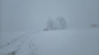 Takto to v těchto dnech vypad&aacute; na hor&aacute;ch, konkr&eacute;tně na Lesn&eacute;. Foto: Jitka Pavl&iacute;kov&aacute;
