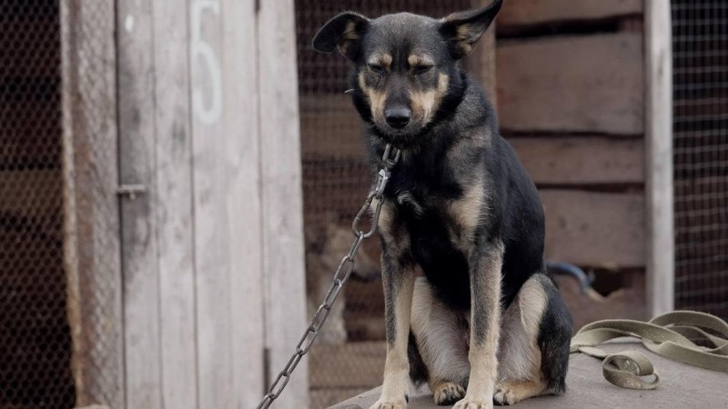 Ilustračn&iacute; foto: Pixabay / CC0