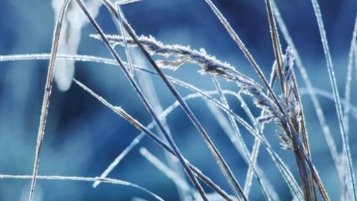 V&Yacute;STRAHA: &Uacute;steck&yacute; kraj zas&aacute;hne siln&yacute; mr&aacute;z, teploty mohou klesnout pod -12 &deg;C