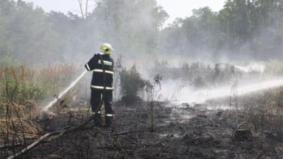 Meteorologové kvůli suchu varují před nebezpečím požárů, výstraha platí do odvolání