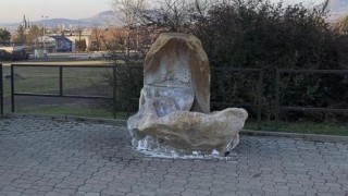 Pramen Luna. Foto: Jitka Fárová