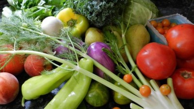 T&yacute;den v Žatci: Na chmelařsk&eacute; stoličce, farm&aacute;řsk&yacute; trh, Muzejn&iacute; noc