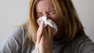 Ilustrační foto: Pixabay / CC0