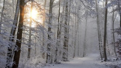 Krušné hory zasypal sníh, zima se ale ještě vlády neujímá