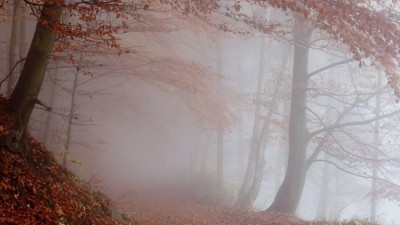 Ilustrační foto: archiv pořadatelů