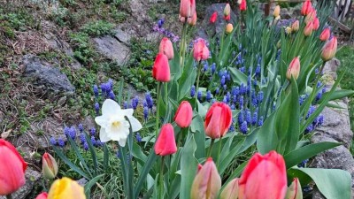 &Uacute;steck&yacute; kraj si užil nejteplej&scaron;&iacute; r&aacute;no v Čech&aacute;ch, mraz&iacute;ky ale trvaj&iacute;