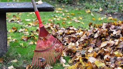 V Lounech probíhá pravidelný podzimní úklid listí