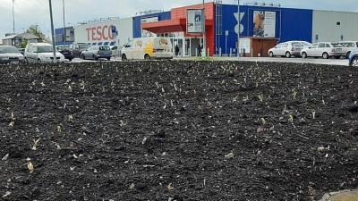 Na třech místech ve městě se objevila nová zeleň. Foto zdroj: město Žatec