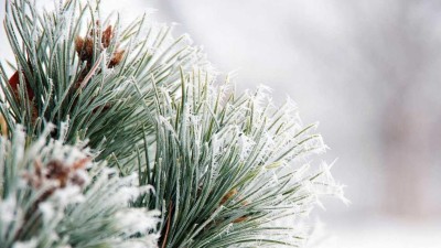 Ilustrační foto: Pixabay / CC0