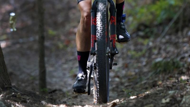 Ilustračn&iacute; sn&iacute;mek. Zdroj: Pixabay / CC0