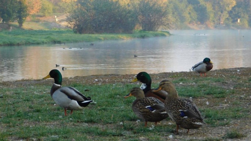 Foto: Žatecký maják