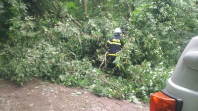 V Žiželicích spadl po bouřce strom. Hasiči ho museli rozřezat