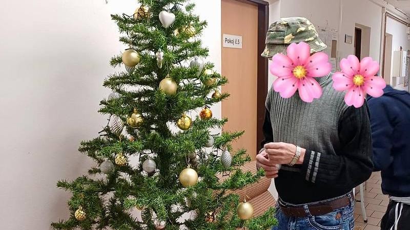 Klienti Azylov&eacute;ho domu pro muže v Lounech si sami nazdobili stromeček. Foto: Azylov&yacute; dům Louny