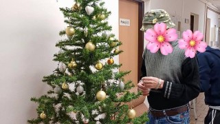 Klienti Azylov&eacute;ho domu pro muže v Lounech si sami nazdobili stromeček. Foto: Azylov&yacute; dům Louny