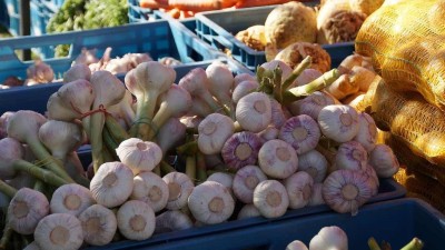 Ilustrační foto: Pixabay / CC0