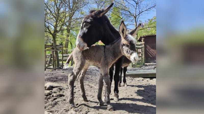 Foto: Zoo Děčín