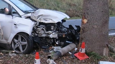 STALO SE: Opilý patnáctiletý mladík vzal tátovi auto a poslal ho do stromu! Teď bude mít vážné potíže