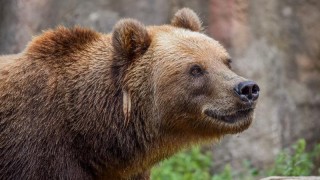Foto: Zoo Děčín