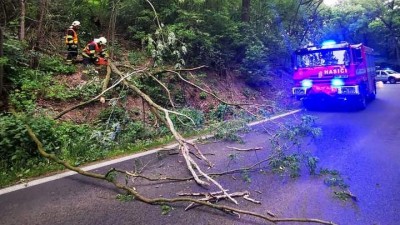 Na silnici u Postoloprt se zřítily stromy. Cestu uvolňovali hasiči