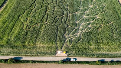 VIDEO: V kukuřičných polích vznikají po celé zemi velká bludiště!