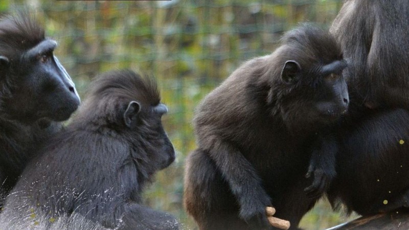 Foto: Zoo Děčín