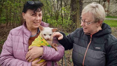 PŘÍBĚH: Na psího seniora Krtečka se usmálo štěstí. Našel novou rodinu