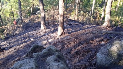 U Vroutku hořel les! Policisté nabádají k opatrnosti při manipulaci s ohněm