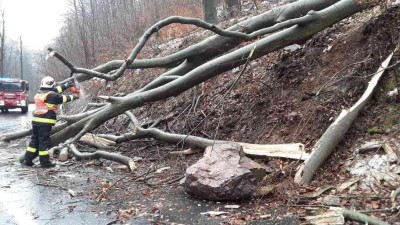 FOTO: Hasiče v kraji zaměstnává silný vítr. Nejčastěji odstraňují stromy a větve ze silnic