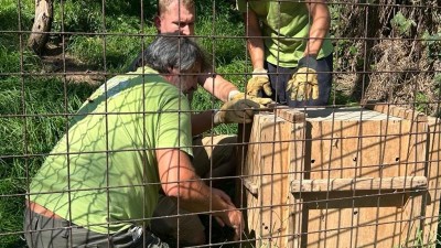 V zooparku vyrostou Pyreneje. Vládci oblohy se dočkají nové voliéry