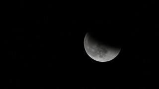 Ilustrační foto: Pixabay / CC0