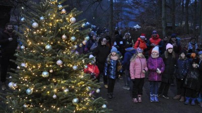 Ilustračn&iacute; foto: Zoo Děč&iacute;n