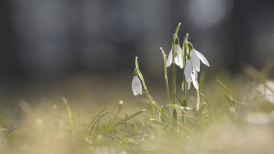 Co je vlastně za měsíc? Přes den totiž naměříme nějakých 13 °C