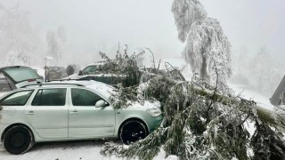 Stromy se l&aacute;mou pod t&iacute;hou n&aacute;mrazy jako sirky. Padaj&iacute; nejen na běžeck&eacute; stopy, ale i na zaparkovan&aacute; auta a přes silnice. Foto: Horsk&aacute; služba ČR