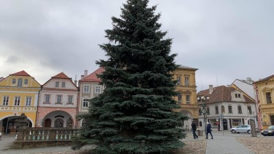 V Kadani na náměstí už stojí vánoční strom. Město ho dostalo darem