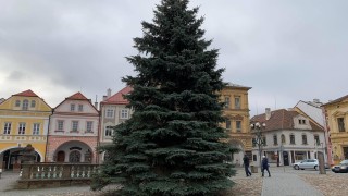 Vánoční smrk na náměstí v Kadani. Foto: Jitka Fárová