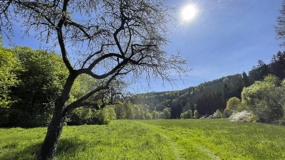 Léto je tady? Na přelomu týdne bychom mohli naměřit až 27 °C