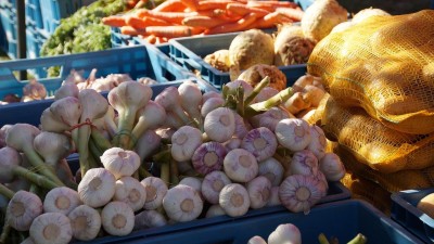 Týden v Žatci: Setkání s veřejností, pololetní řádění na ledě, farmářské trhy