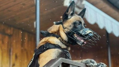 Nepro&scaron;lapan&yacute; sn&iacute;h i tma l&aacute;kaj&iacute; zloděje: Opu&scaron;těn&eacute; chaty jsou v zimě snadn&yacute;m terčem