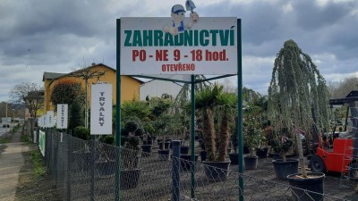 VIDEO: V Havrani se otevírá již čtvrtá sezóna Zahradnictví Tobík. Nabízí rozsáhlý sortiment dřevin