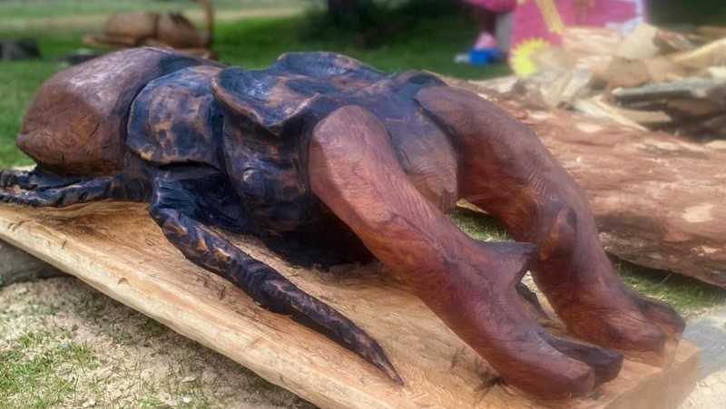Nejde o žádné drobečky. Každé nové dílo bylo původně kmenem dubu. Foto: Horský areál Lesná