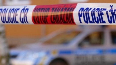 Brut&aacute;ln&iacute; &uacute;tok na mal&eacute; d&iacute;tě na Lounsku: Kriminalist&eacute; zadrželi podezřel&eacute;ho muže