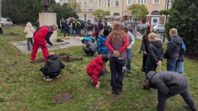Louny hrají barvami květin, rozzářené budou i příští jaro
