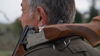 Ilustrační foto: Pixabay / CC0