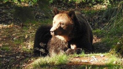 Ilustrační foto. Foto: Jitka Fárová