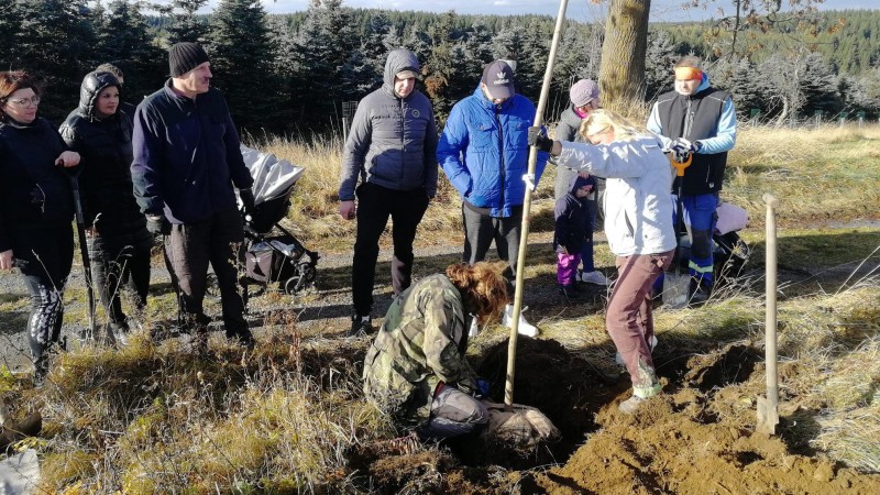 Na Hoře Svatého Šebestiána vznikla nová alej. Foto: OÚ Hora Svatého Šebestiána