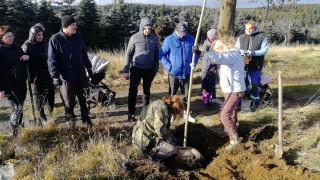 Na Hoře Svatého Šebestiána vznikla nová alej. Foto: OÚ Hora Svatého Šebestiána