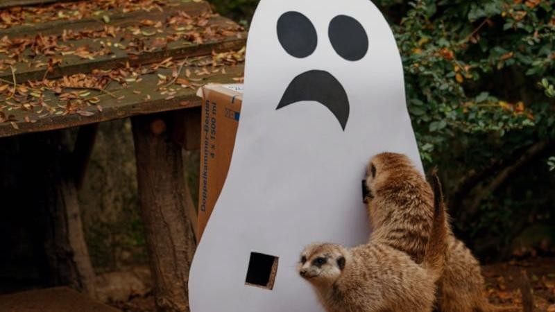 Ilustrační foto: Zoo Ústí nad Labem